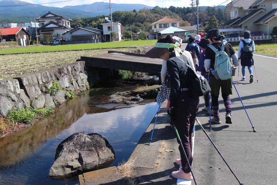 秋を感じるノルディックウォーク