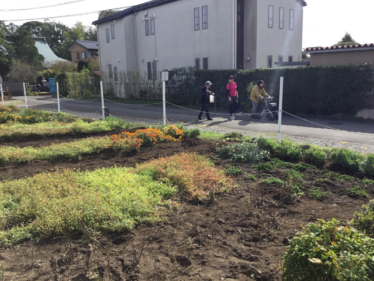 65歳以上限定!動いて元気!食べて満足!