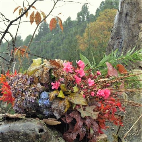 野の草・花・木を使って「造形」（フラワーデザイン）しましょう