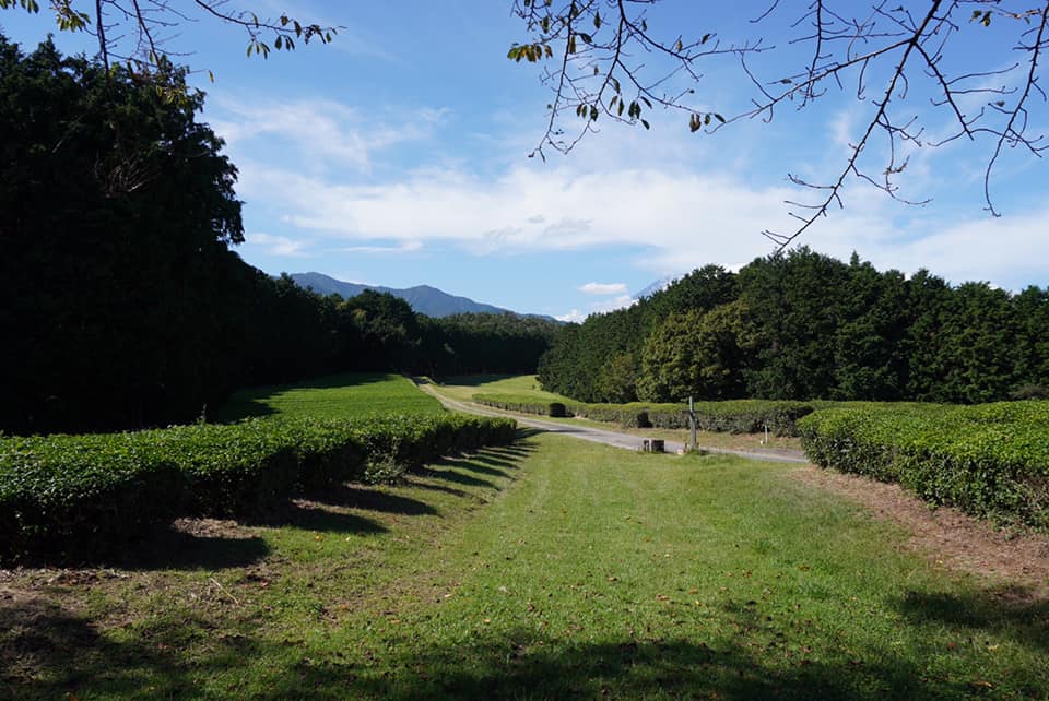 不二聖心産❝竹あかり❞を作ろう