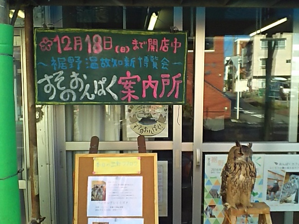 富士のすそので飛ぶ鷹＆ふくろう！