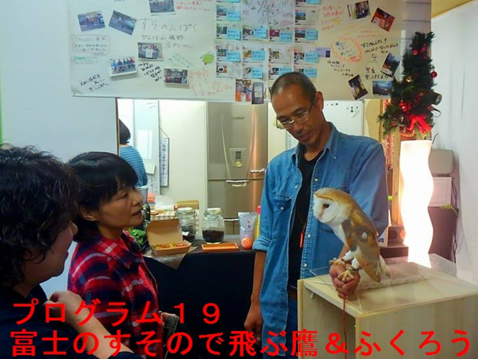 富士のすそので飛ぶ鷹＆ふくろう！