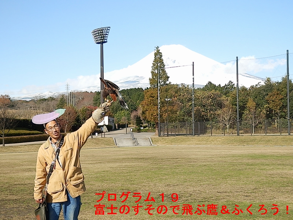 富士のすそので飛ぶ鷹＆ふくろう！