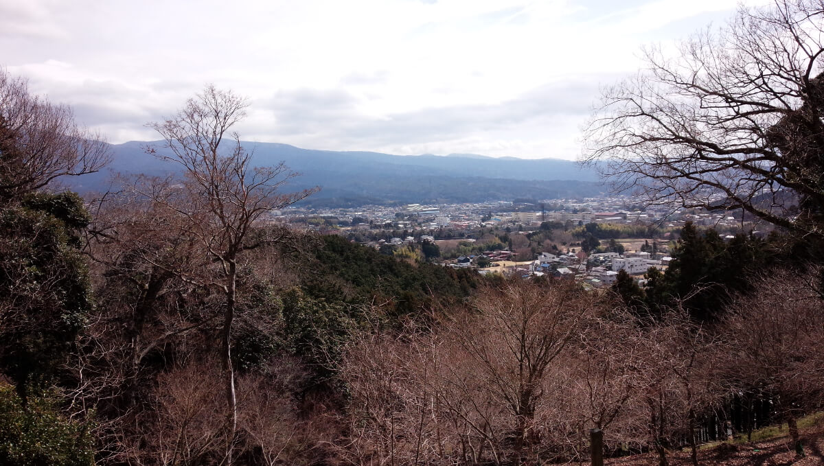 ノルディックウォーキングで笑おう