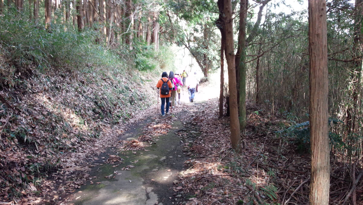 ノルディックウォーキングで笑おう