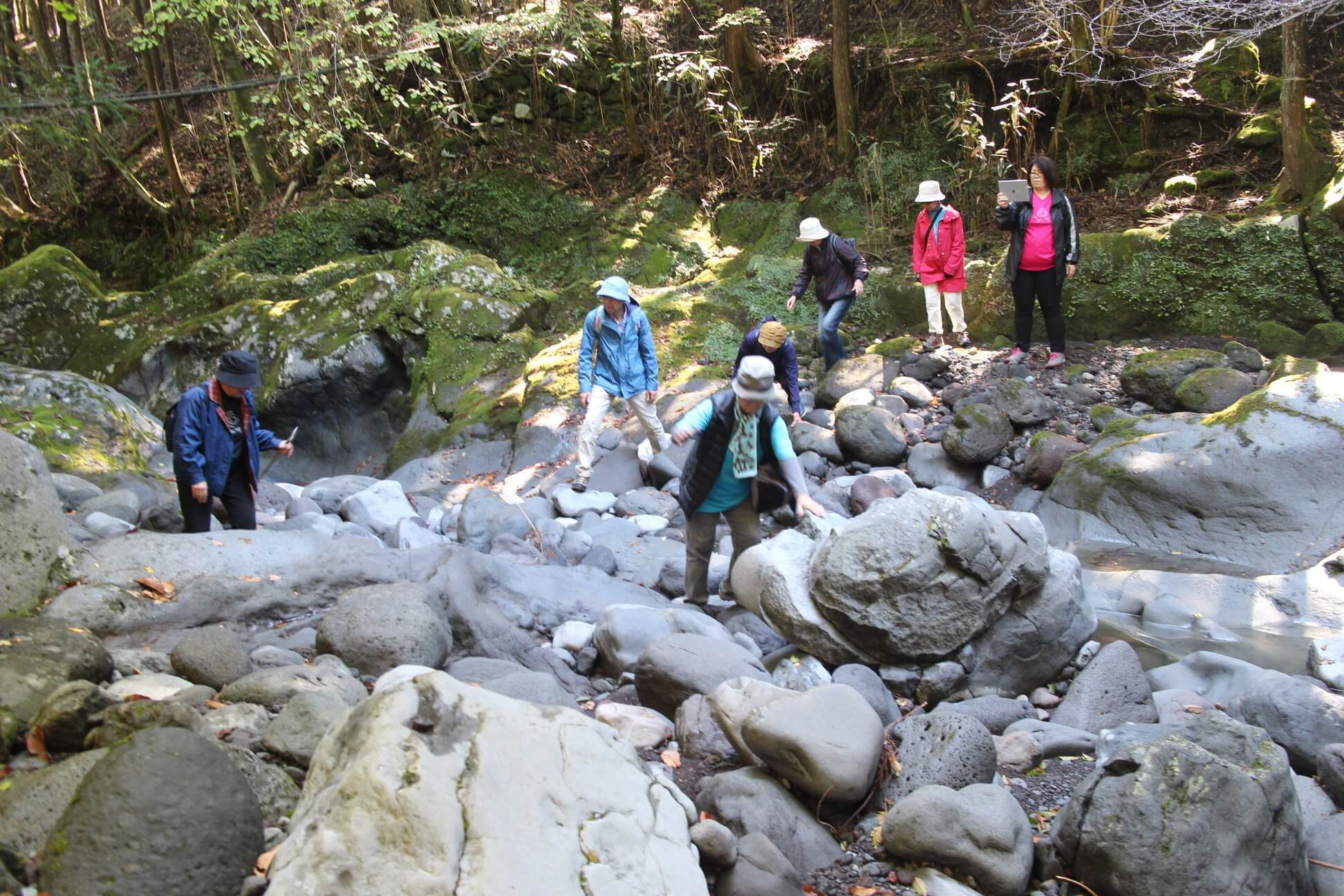 森林浴ラフターat須山・富士山