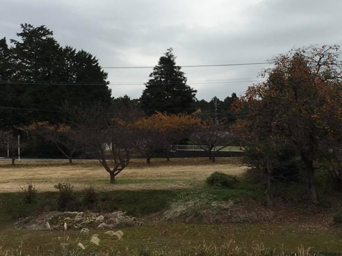 裾野で遊ぼ!洞穴と紅葉散歩オヤツつき