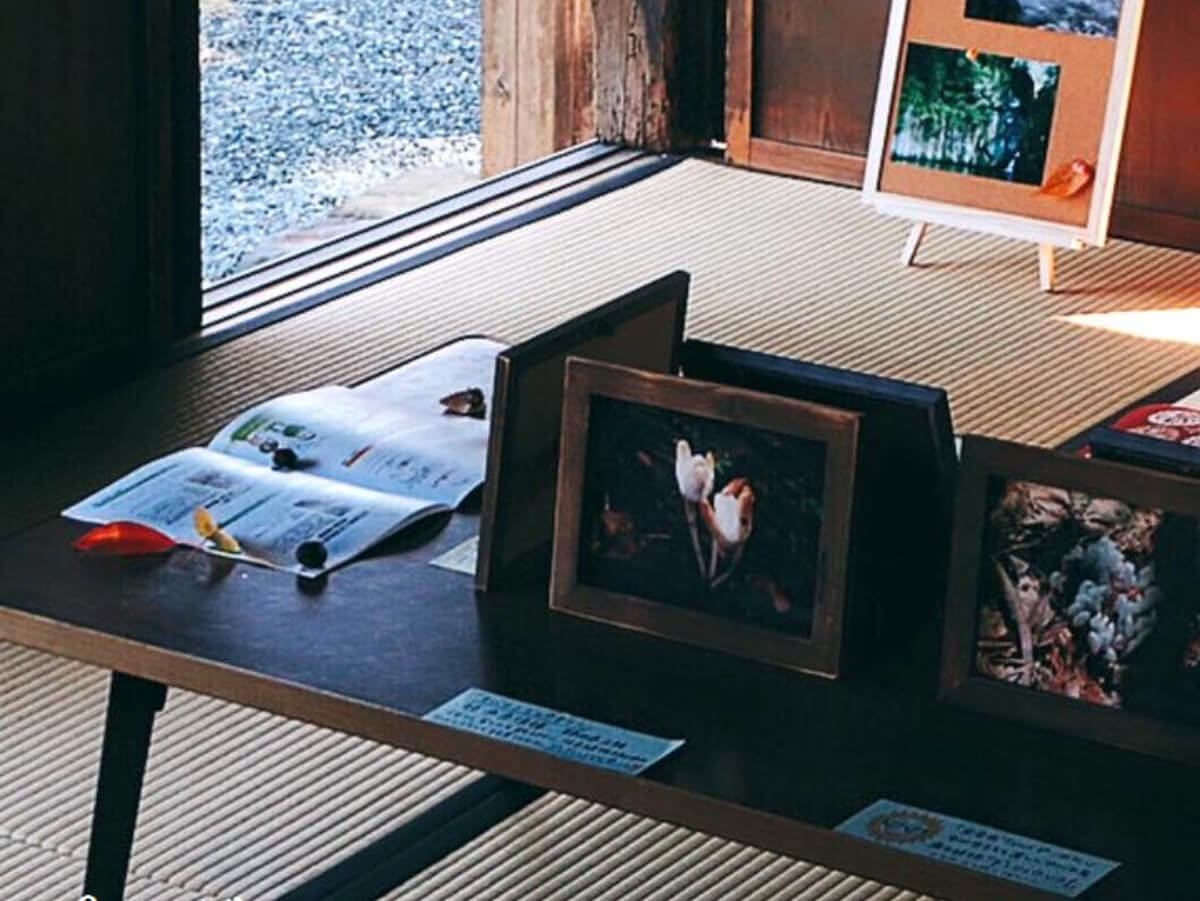 裾野で遊ぼ!洞穴と紅葉散歩オヤツつき