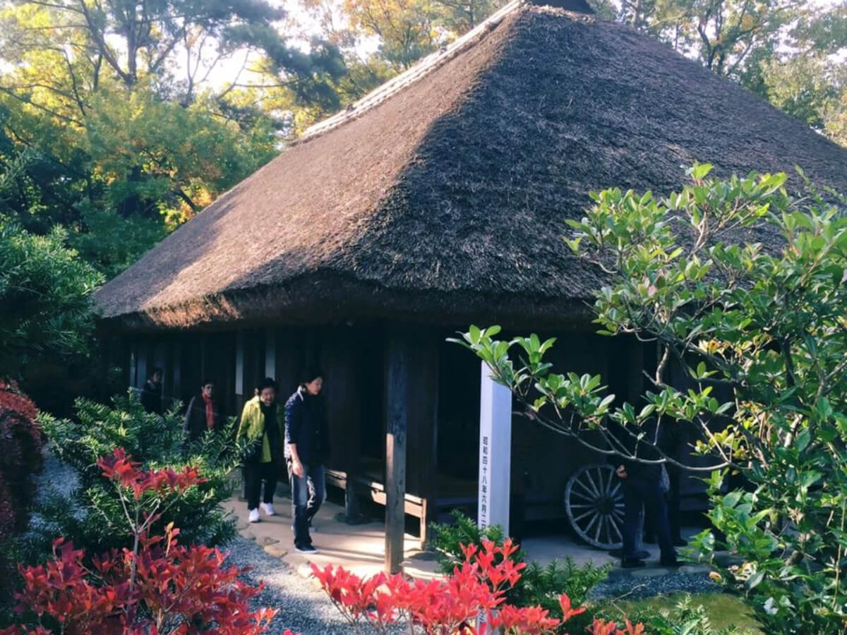 裾野で遊ぼ!洞穴と紅葉散歩オヤツつき