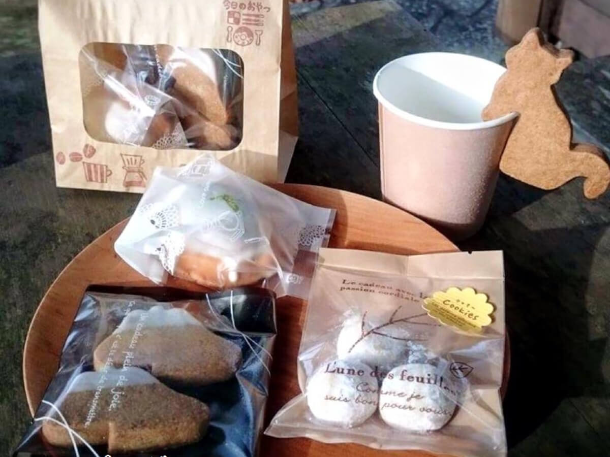 裾野で遊ぼ!洞穴と紅葉散歩オヤツつき