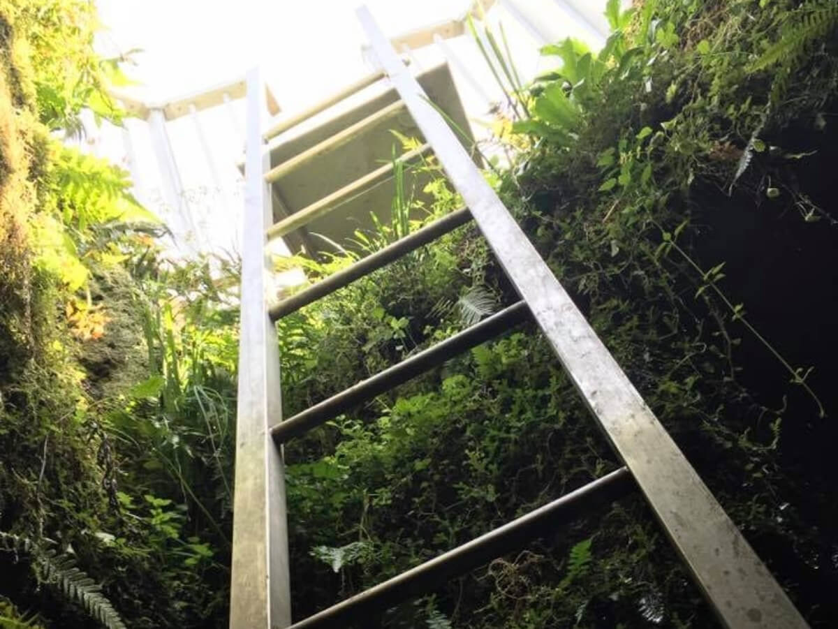 裾野で遊ぼ!洞穴と紅葉散歩オヤツつき