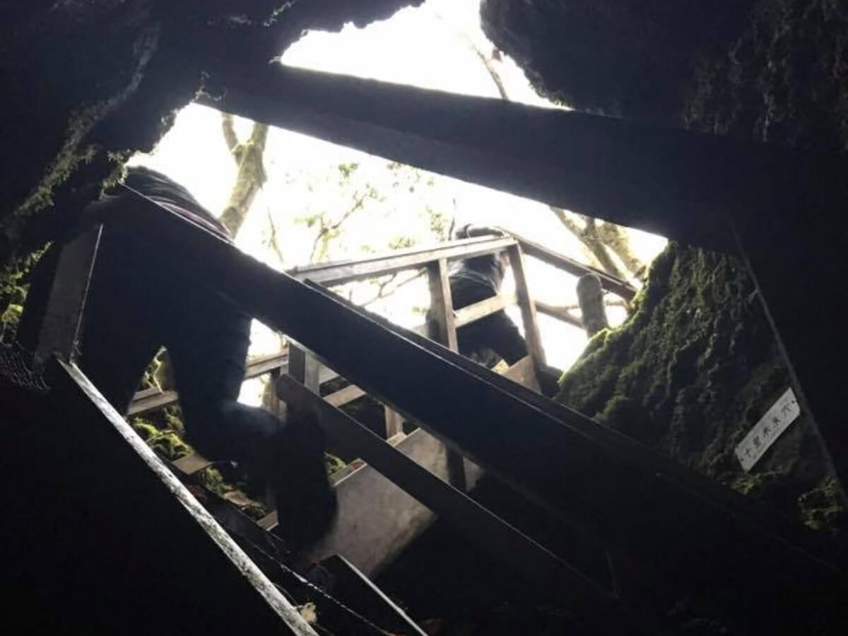 裾野で遊ぼ!洞穴と紅葉散歩オヤツつき