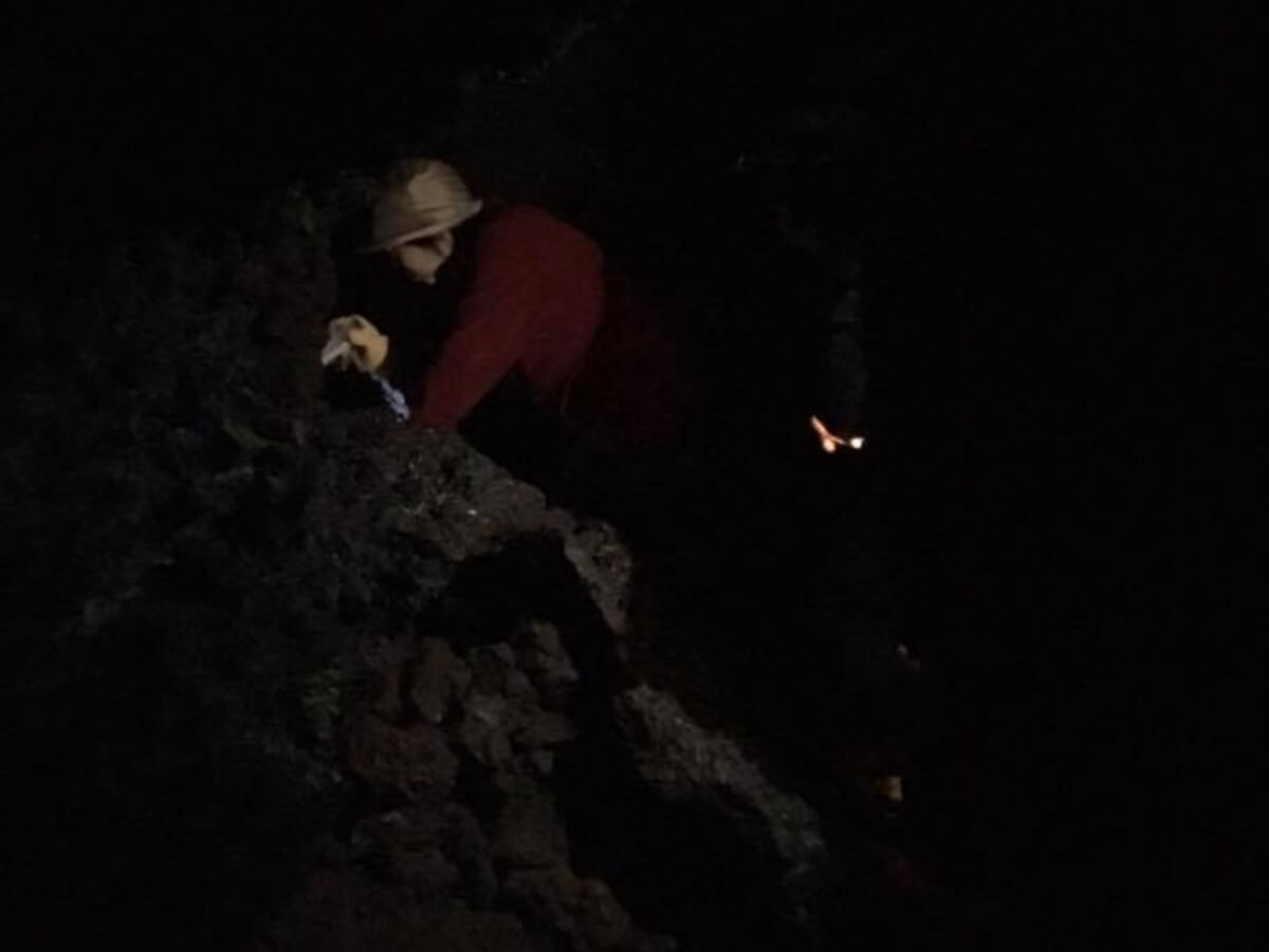 裾野で遊ぼ!洞穴と紅葉散歩オヤツつき