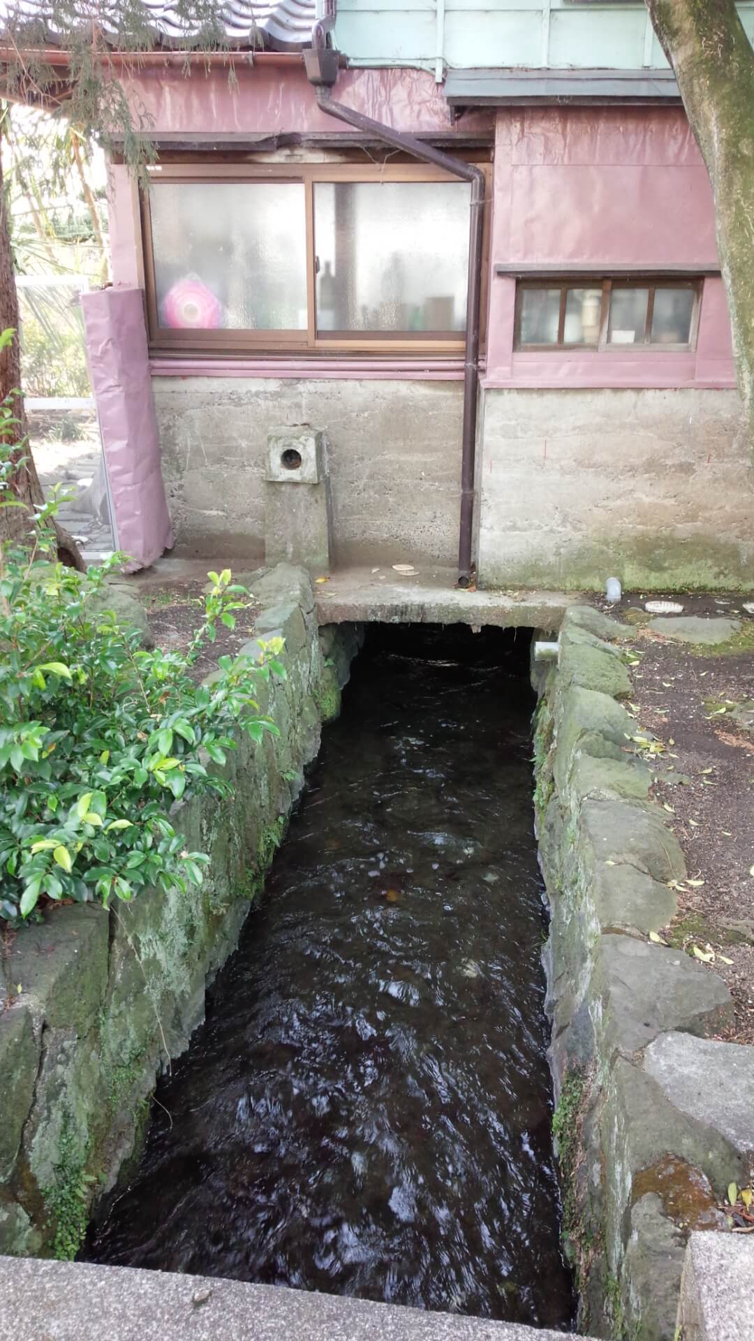 ブラタグチ(すそのまち歩き)