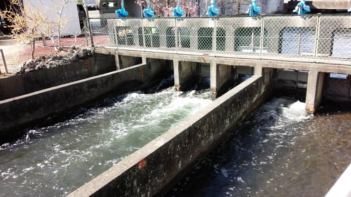 ブラタグチ(すそのまち歩き)