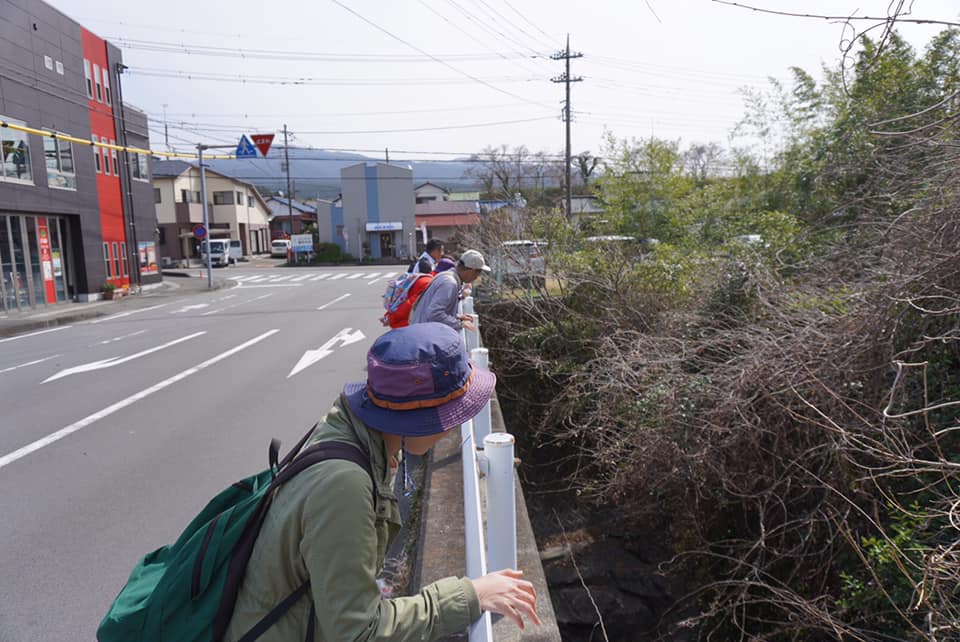 春のブラタグチ　JR裾野駅～天田川コウ渠～吉田神社