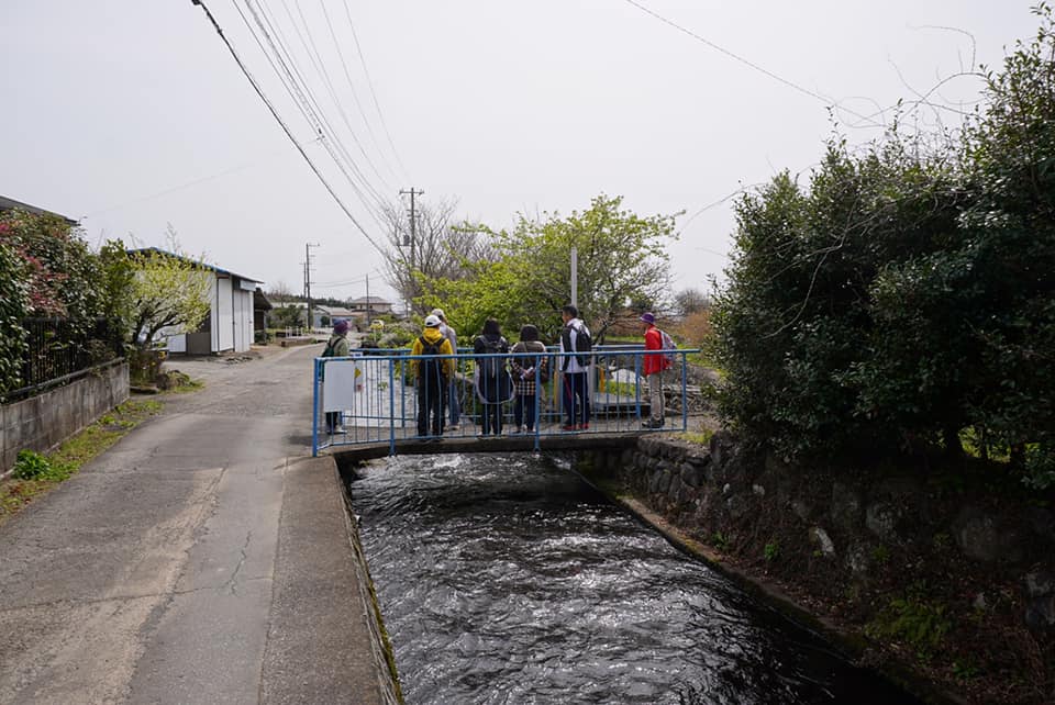 春のブラタグチ　JR裾野駅～天田川コウ渠～吉田神社
