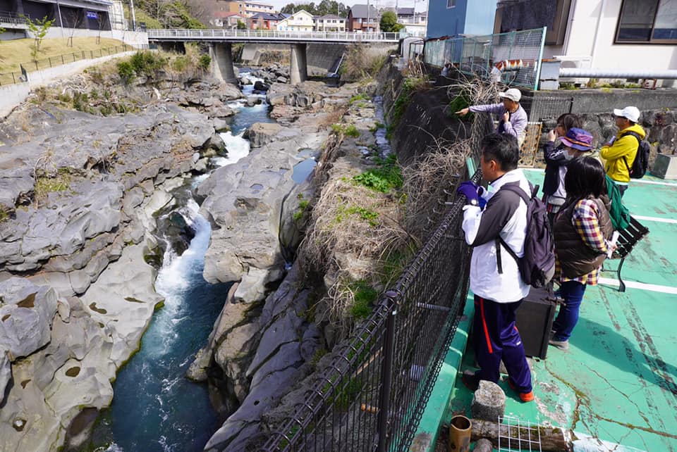 春のブラタグチ　JR裾野駅～天田川コウ渠～吉田神社