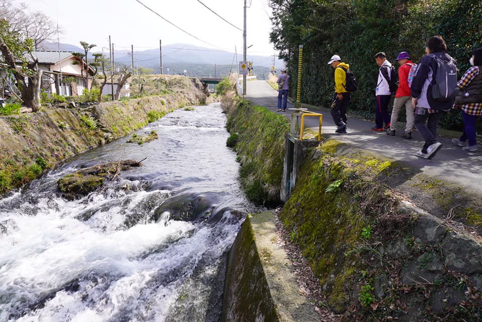 春のブラタグチ　JR裾野駅～天田川コウ渠～吉田神社