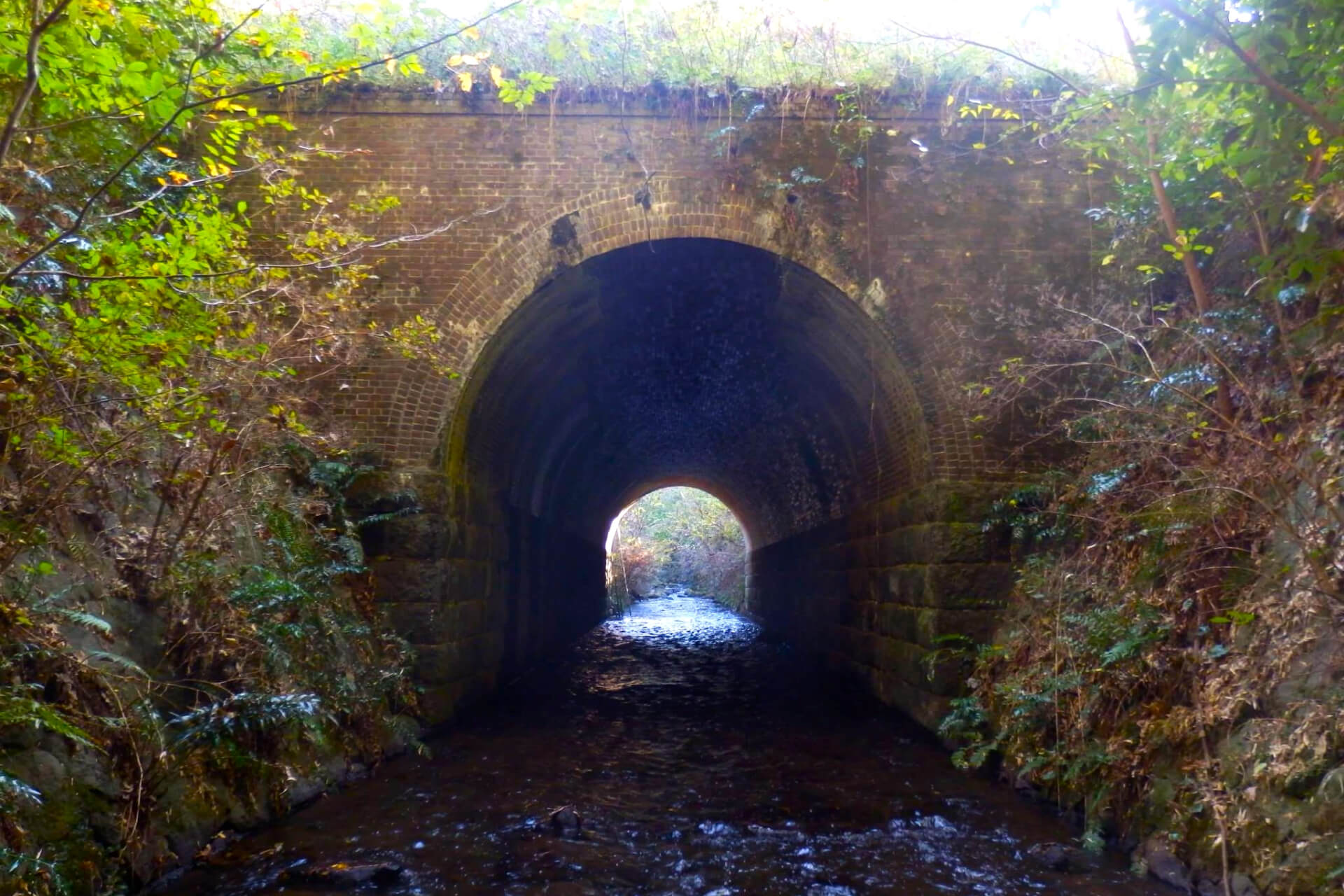 春のブラタグチ レンガ眼鏡橋を川の中から見よう！