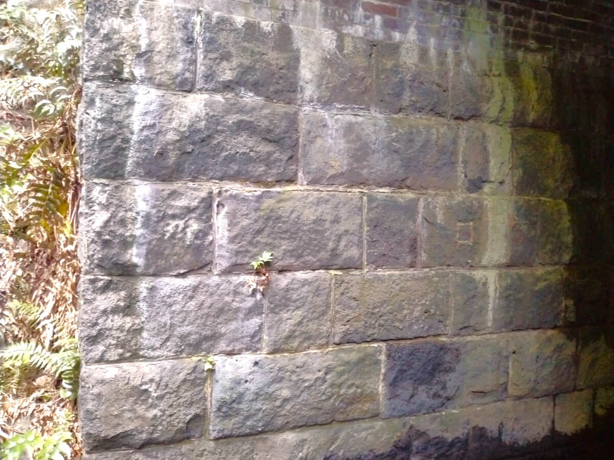 夏のブラタグチ レンガ眼鏡橋を川の中から見よう!