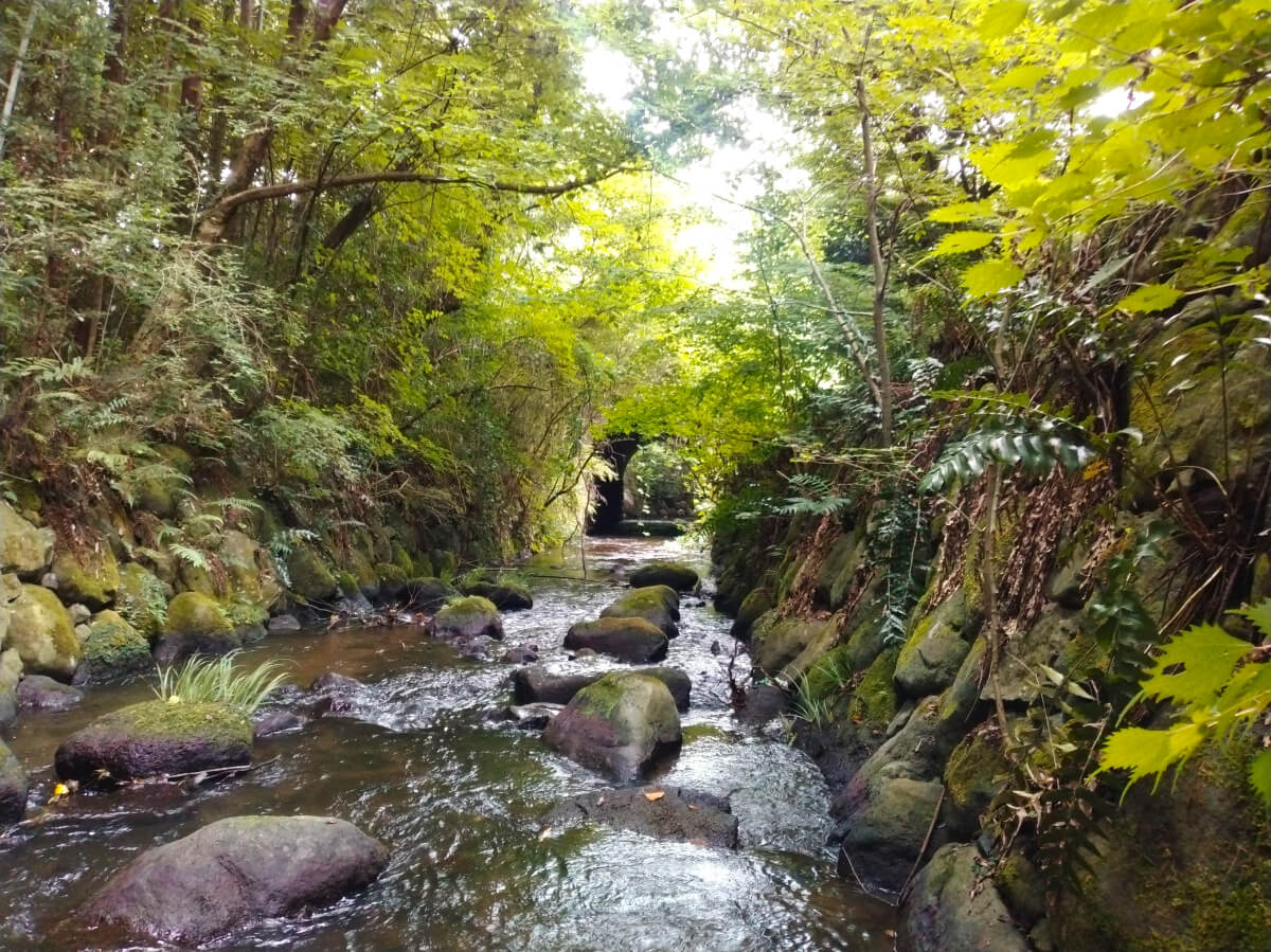 夏のブラタグチ レンガ眼鏡橋を川の中から見よう！