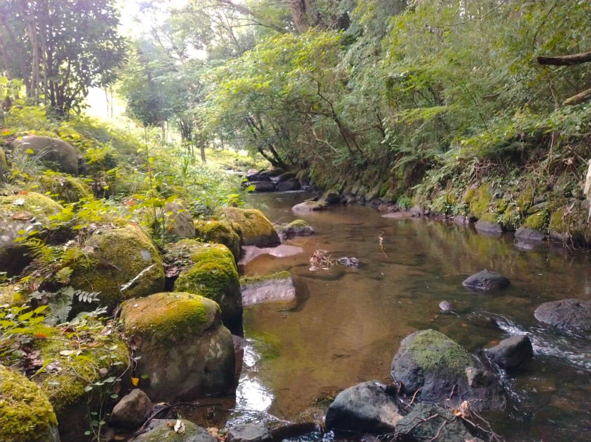 夏のブラタグチ レンガ眼鏡橋を川の中から見よう!