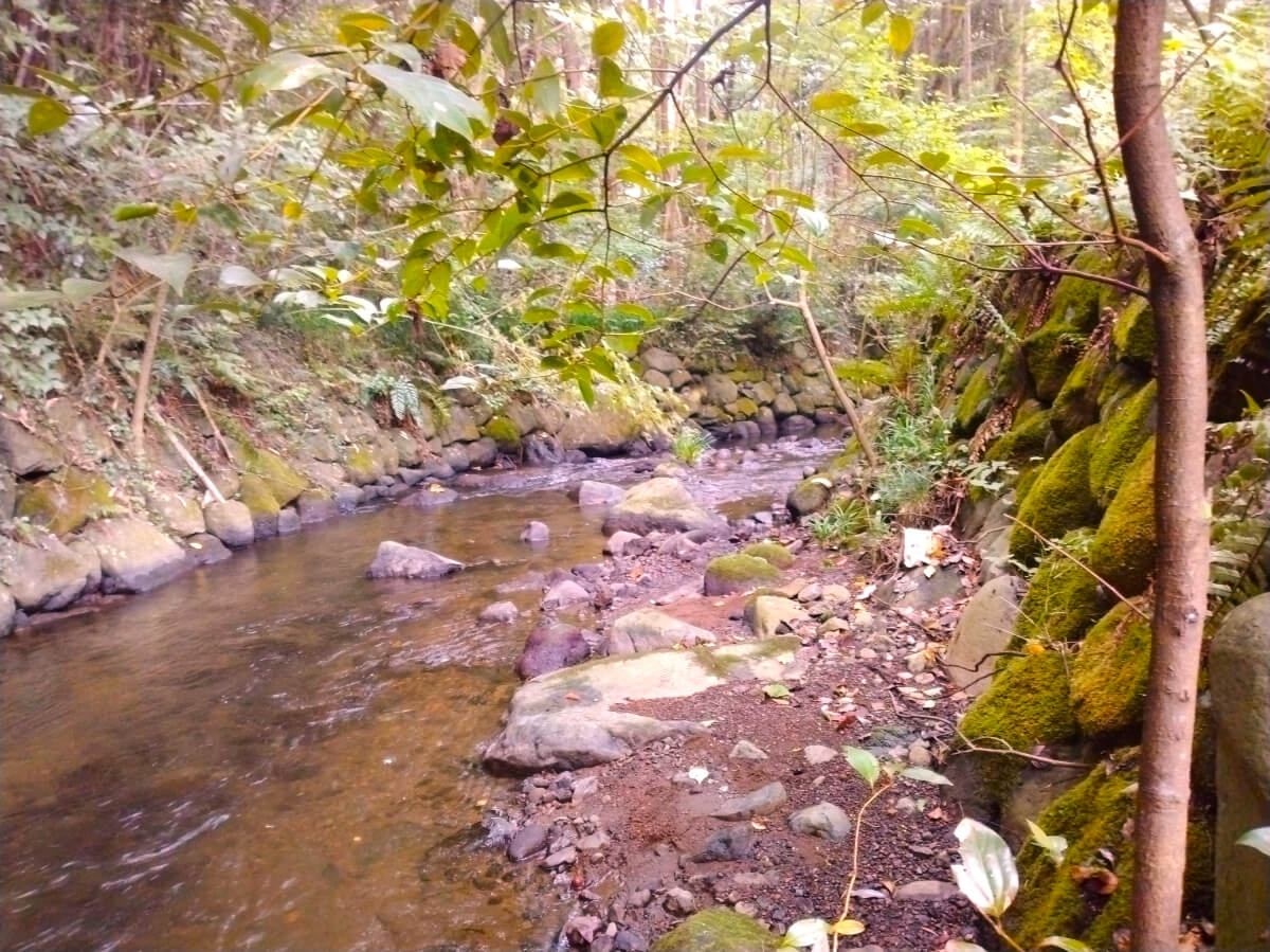 夏のブラタグチ レンガ眼鏡橋を川の中から見よう!