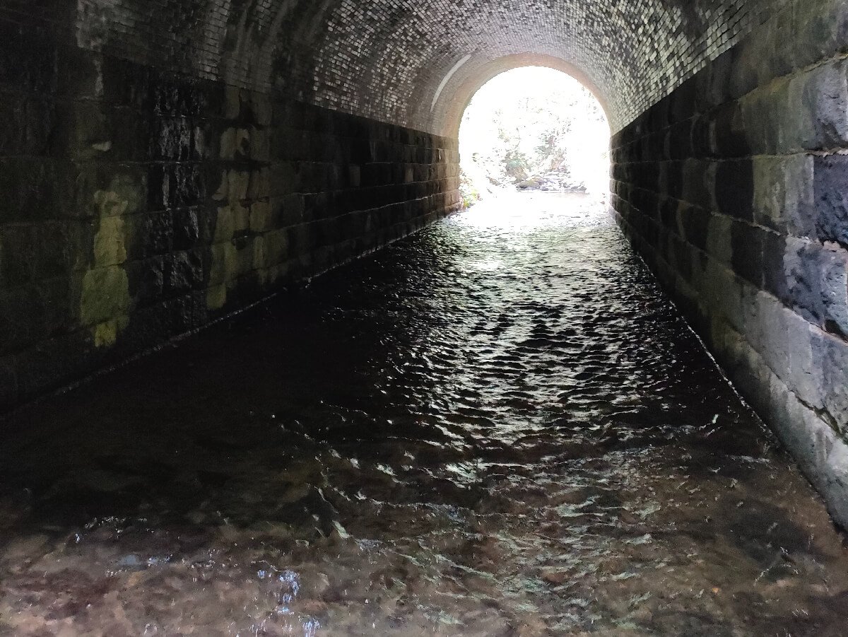 夏のブラタグチ レンガ眼鏡橋を川の中から見よう!