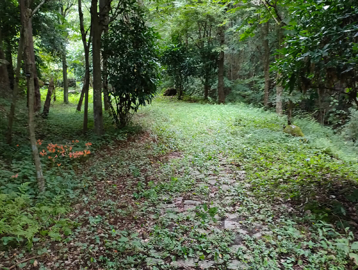 夏のブラタグチ レンガ眼鏡橋を川の中から見よう!