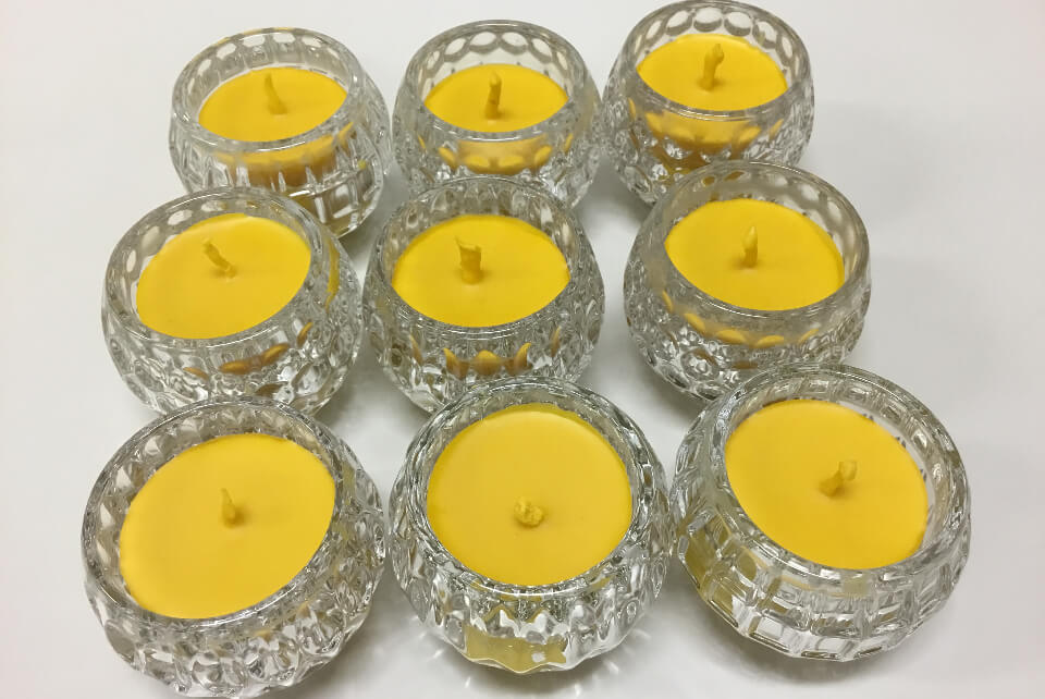 驚くべきハチの世界 十蜂蜜試食会