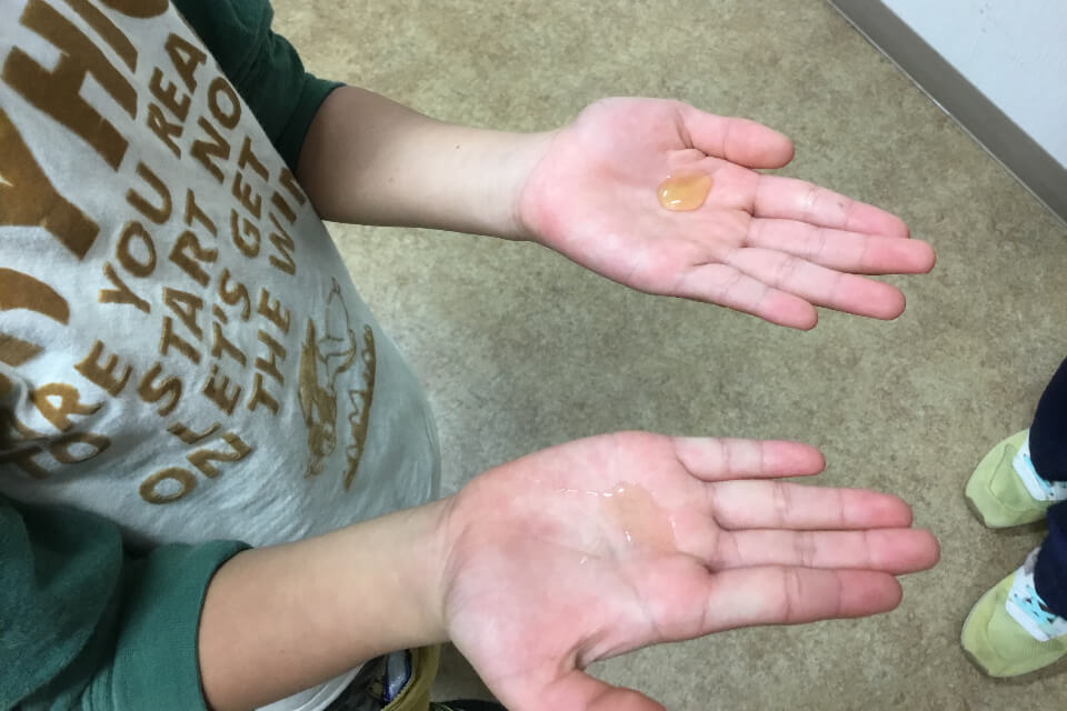 驚くべきハチの世界 十蜂蜜試食会