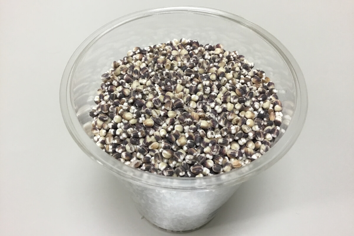 驚くべきハチの世界 十蜂蜜試食会