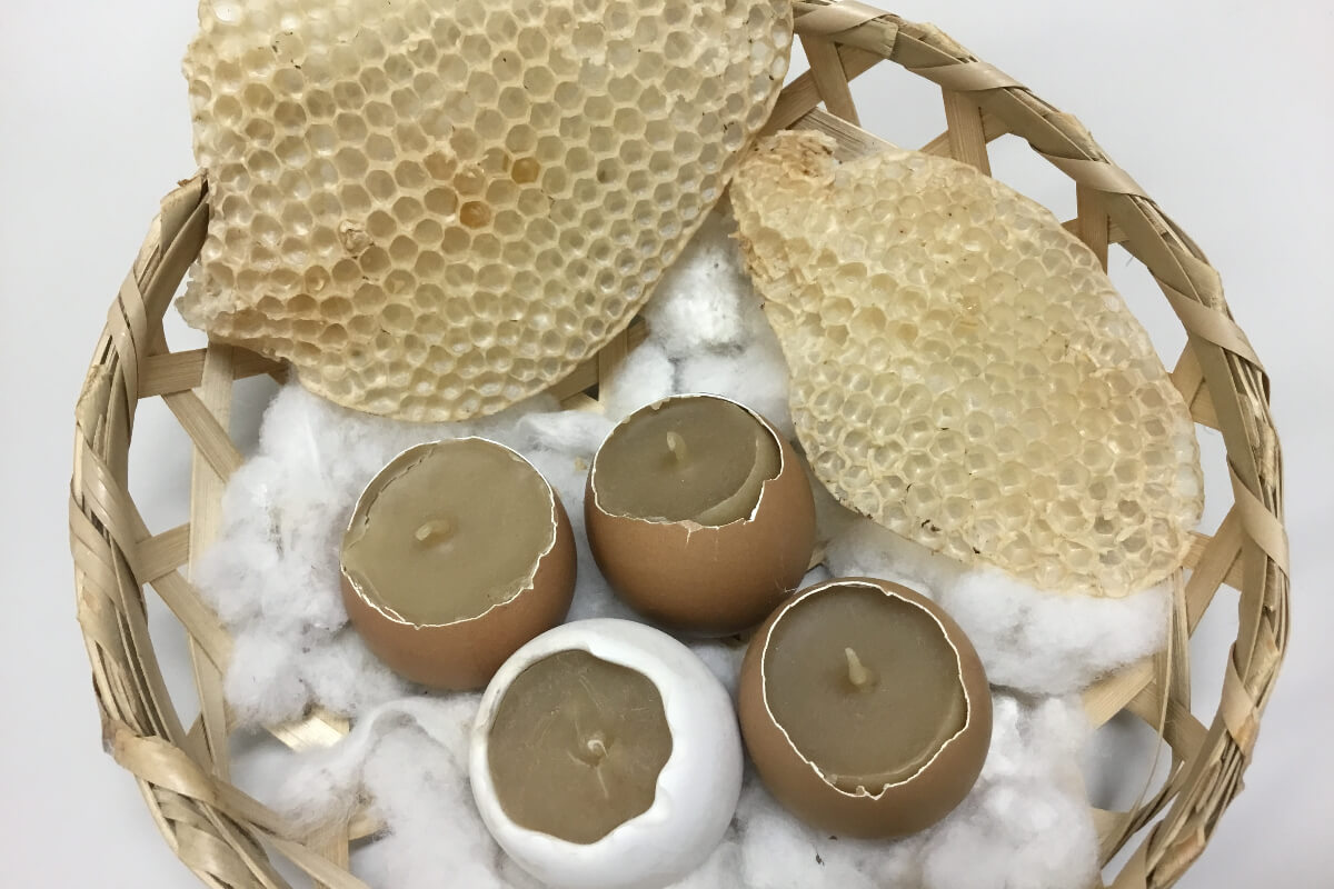 驚くべきハチの世界 十蜂蜜試食会