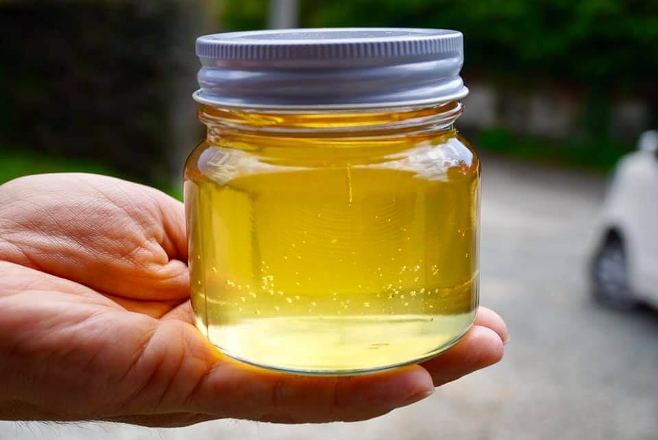 驚くべきハチの世界 十蜂蜜試食会