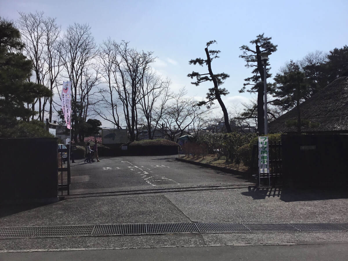 木漏れ日の中の癒しと思いを繋ぐフリマ