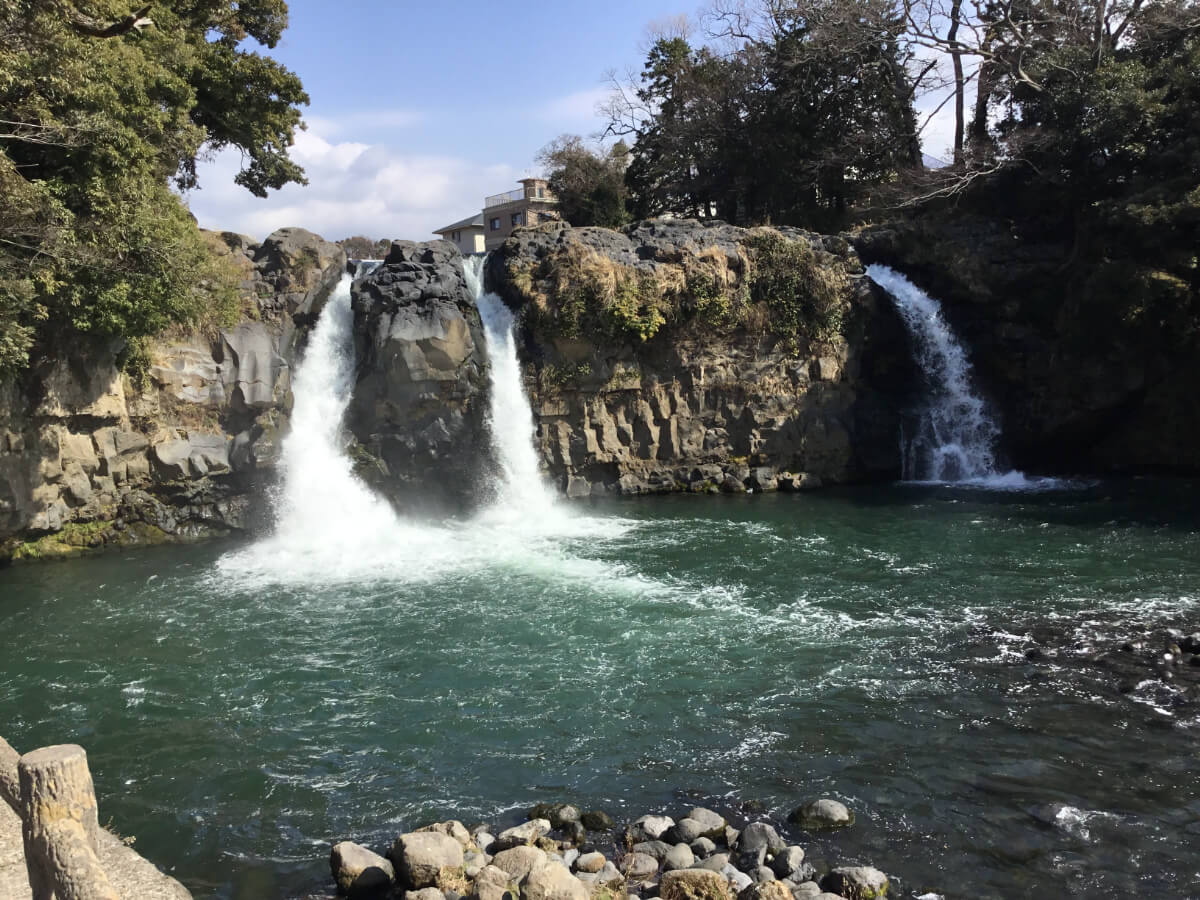 木漏れ日の中の癒しと思いを繋ぐフリマ