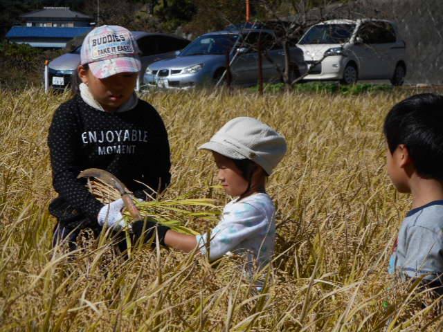 地域の宝、 里山をこども達へ
