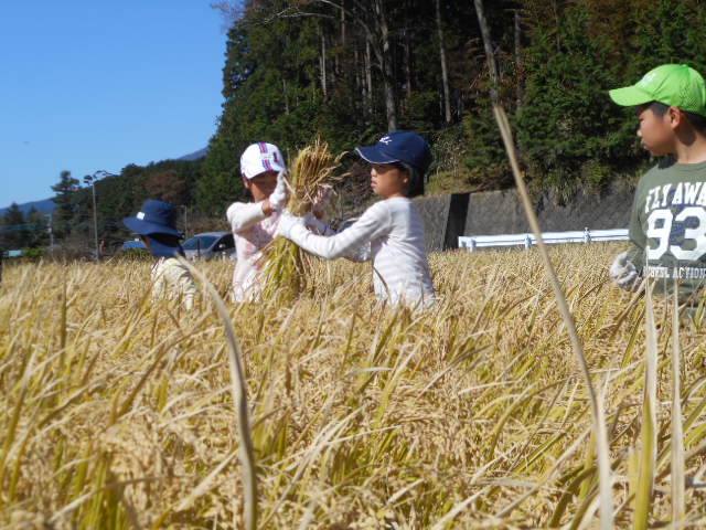 地域の宝、 里山をこども達へ
