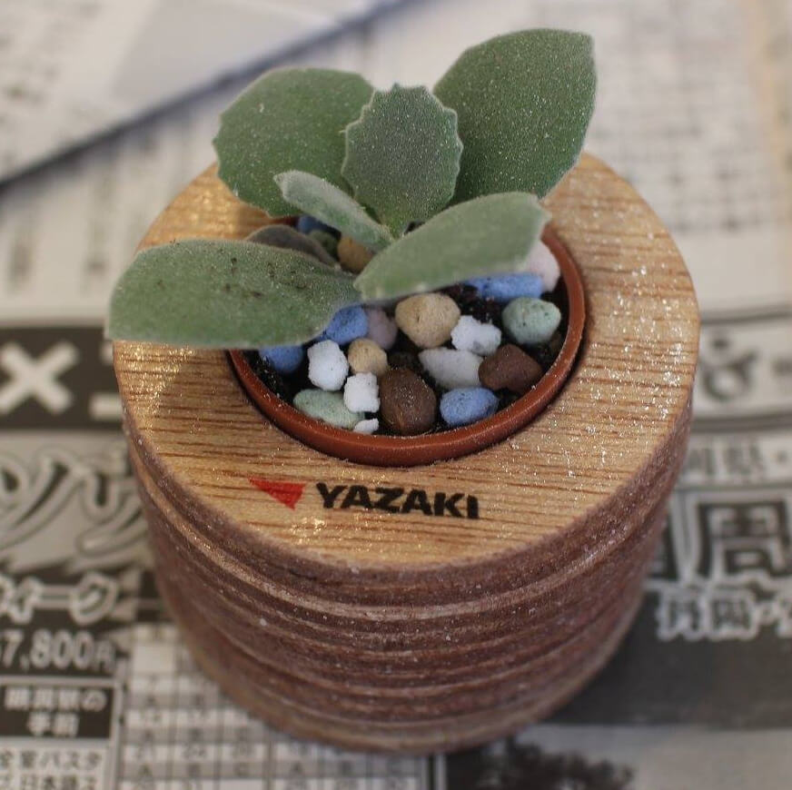 使わなくなった木材を使って緑輝ポット作り