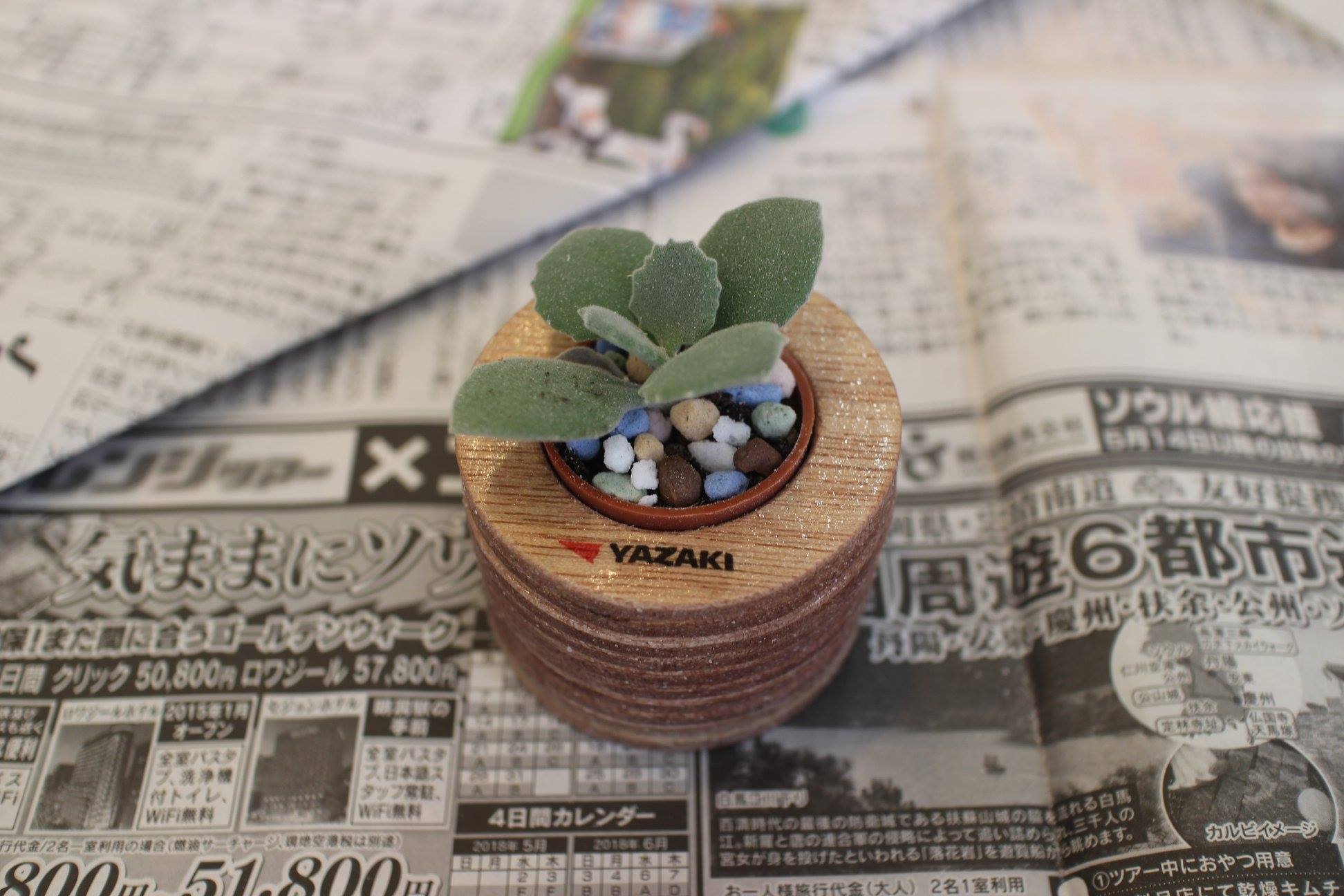 使わなくなった木材を使って緑輝ポット作り